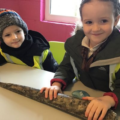 Wingham Wildlife Park